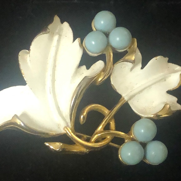 Sarah coV booch - Picture 4 of 6